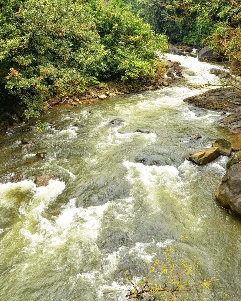 Sakleshpur: The Gateway to the Western Ghats