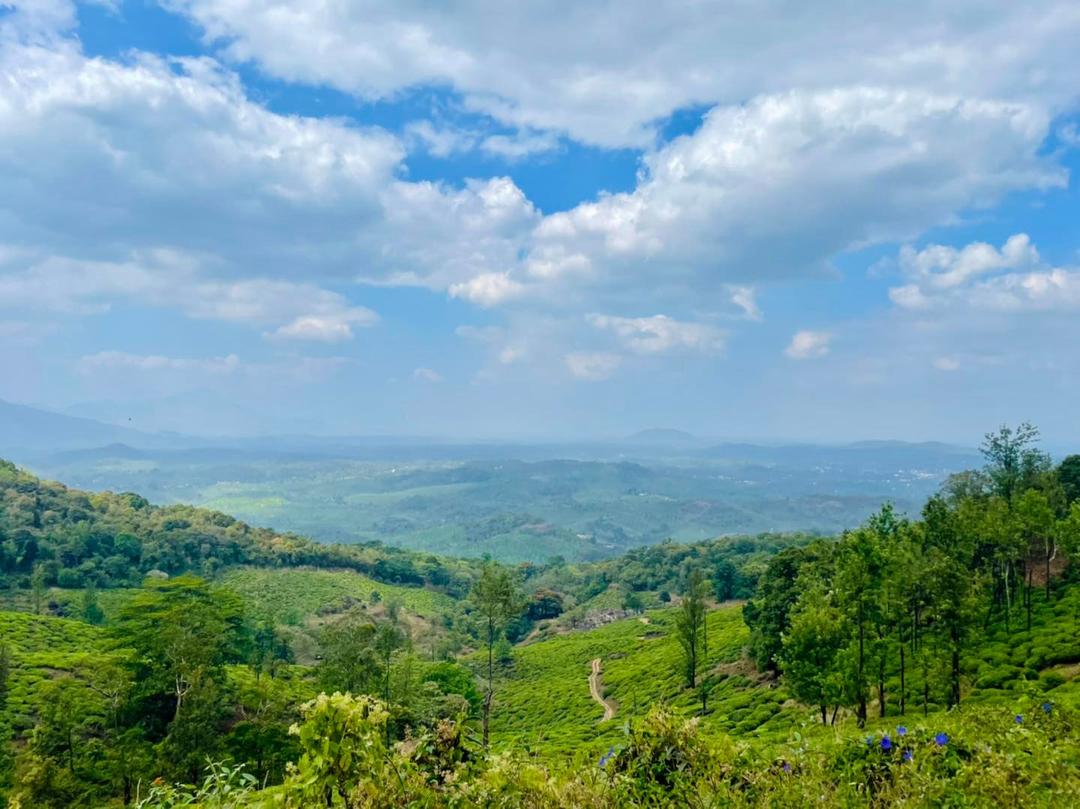 Wayanad: The Green Paradise Just a Drive Away from Bangalore