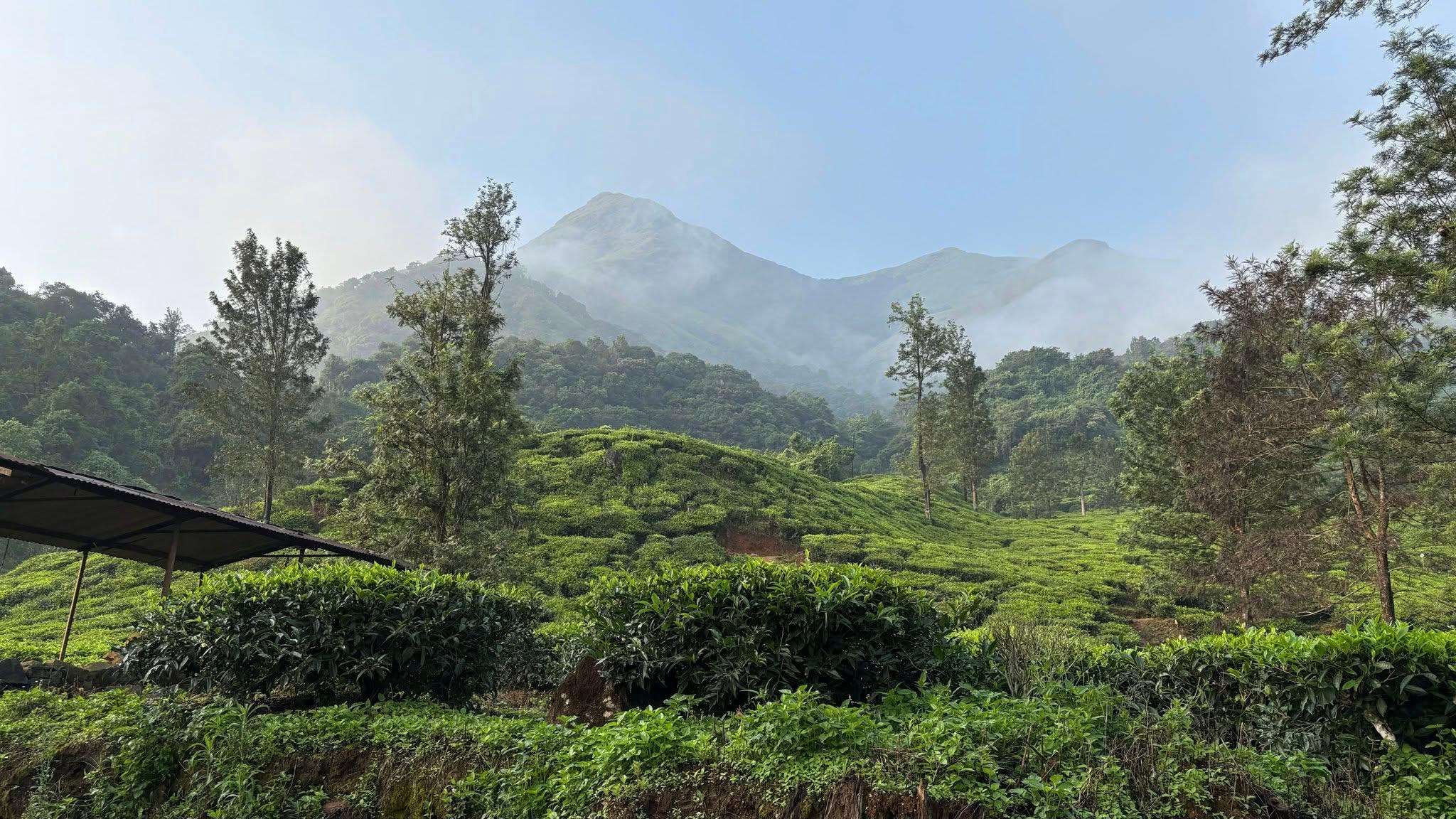 Wayanad: The Green Paradise Just a Drive Away from Bangalore