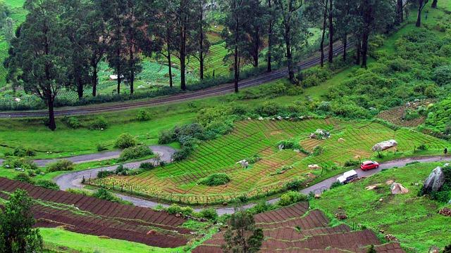 Ooty: The Queen of Hill Stations