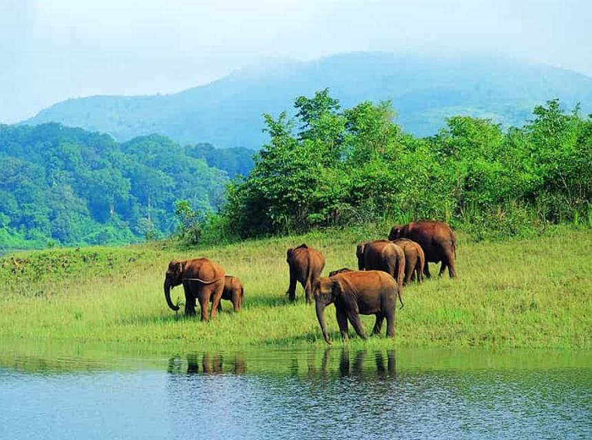 Kabini: Karnataka’s Enchanting Wilderness Haven